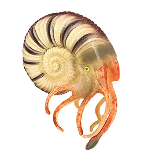 JUMPLAWN Nautilus Modell Aus Realistisches Tier Ornament Für Lernspielzeug Kognitiven Fähigkeiten Dekoration Zuhause Hotel von JUMPLAWN