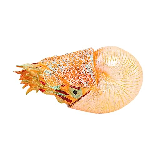 JUMPLAWN Nautilus Modell Simuliertes Meerestier Für Realistisches Design Langlebiges Kunststoffmaterial Für Tierartenlernen Und Umweltbewusstsein Aquarium Dekoration von JUMPLAWN