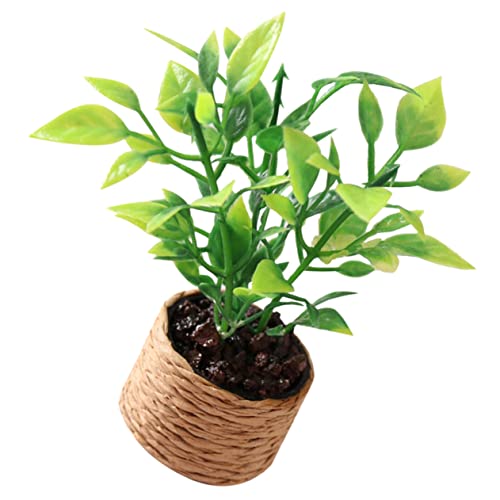JUMPLAWN Orangenbaummodell winzig Kind Topfpflanzen-Modell Puppenhaus-Blume Kleiner Blumentopf Miniaturblumentopf Miniatur-Topfblumenmodell Mini-Miniaturmodell Plastik JUMPLAWN Orangenbaummodell winzig Kind Topfpflanzen-Modell Puppenhaus-Blume Kleiner Blumentopf Miniaturblumentopf Miniatur-Topfblumenmodell Mini-Miniaturmodell Plastik von JUMPLAWN