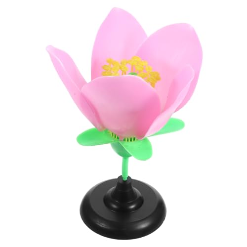 JUMPLAWN Modell Anatomie Modell Biologie Lehrmittel PVC Material Jungen Und Mädchen Lernspielzeug JUMPLAWN Modell Anatomie Modell Biologie Lehrmittel PVC Material Jungen Und Mädchen Lernspielzeug von JUMPLAWN