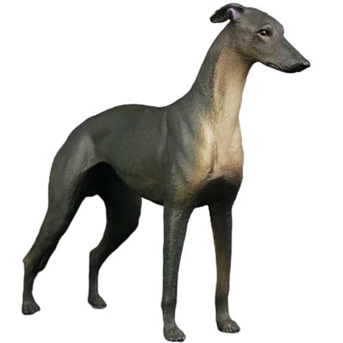 JUMPLAWN Hundemodell Kunststoff Hundestatue für Kinder Realistische Hundefigur Kognitives Kinderspielzeug für Wohnzimmer und Schlafzimmer JUMPLAWN Hundemodell Kunststoff Hundestatue für Kinder Realistische Hundefigur Kognitives Kinderspielzeug für Wohnzimmer und Schlafzimmer von JUMPLAWN