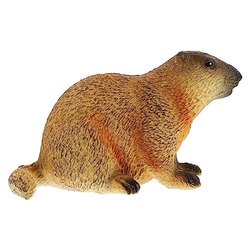 JUMPLAWN Realistische Erdhörnchen-Figur Simuliertes Tiermodell Lernspielzeug Für Dekoration Für Zuhause Und Klassenzimmer Hochwertiges Formbeständiges Material von JUMPLAWN