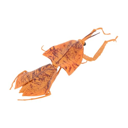 JUMPLAWN Realistische Mantis Figurine Trockene Mantis Modell für Bildungszwecke Dekoration für Garten und Zuhause Detailreiche Insekten Skulptur für Wissenschaftslernen JUMPLAWN Realistische Mantis Figurine Trockene Mantis Modell für Bildungszwecke Dekoration für Garten und Zuhause Detailreiche Insekten Skulptur für Wissenschaftslernen von JUMPLAWN
