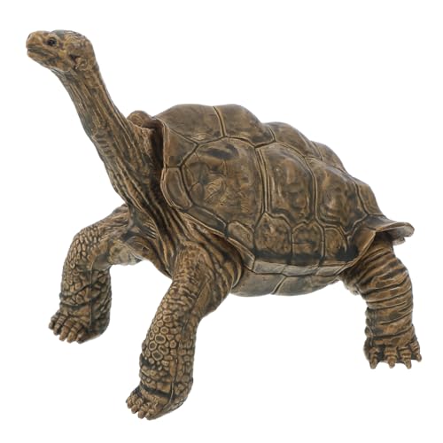 JUMPLAWN Realistische Schildkrötenfigur Aus Hochwertigem Material Für Lernspielzeug Kreativität Und Intelligenz Für Kinderzimmer Und Dekoration von JUMPLAWN