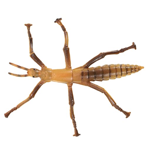 JUMPLAWN Realistisches Kunststoff Insektenmodell für Pädagogisches Lernspielzeug für Detailgetreu Langlebig für Rollenspiele und Frühe Bildung JUMPLAWN Realistisches Kunststoff Insektenmodell für Pädagogisches Lernspielzeug für Detailgetreu Langlebig für Rollenspiele und Frühe Bildung von JUMPLAWN
