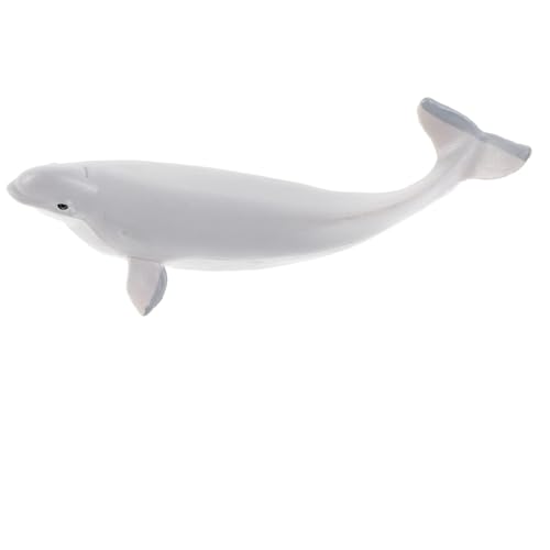 JUMPLAWN Simulationswal Figur Weiße Wal Deko Realistisches Tiermodell Für Bildungsmodell Für Ozeantier Fans Dekoration von JUMPLAWN