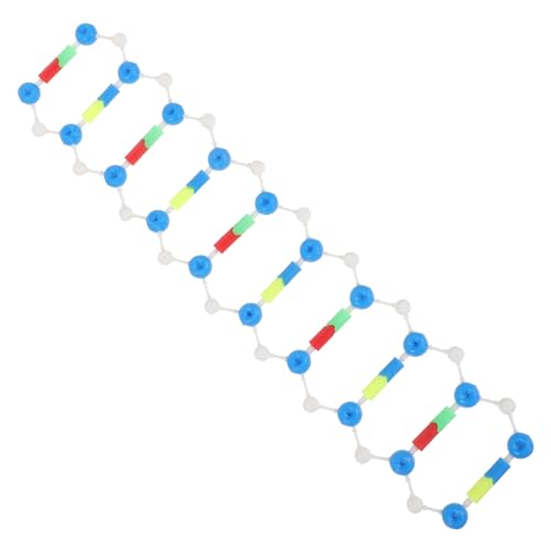 JUMPLAWN Wissenschaftliches DNA Modell Kit Doppelhelix Struktur Pädagogisches Lernwerkzeug Für Schulprojekte Und Experimente Fördert Analytische Fähigkeiten von JUMPLAWN