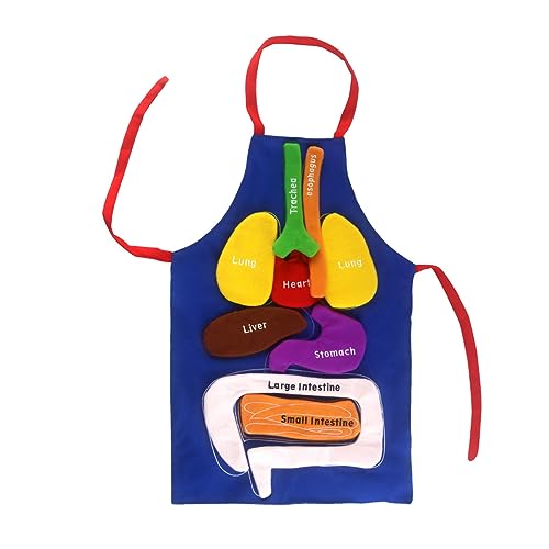 JUNNASALIKER Kleinkindküche Schürze Menschliche Körper Orgel Bildungsschürze 3D Anatomie Schürze Lernen Spielzeug Lernen Requisiten Boy Girls Geschenk JUNNASALIKER Kleinkindküche Schürze Menschliche Körper Orgel Bildungsschürze 3D Anatomie Schürze Lernen Spielzeug Lernen Requisiten Boy Girls Geschenk von JUNNASALIKER