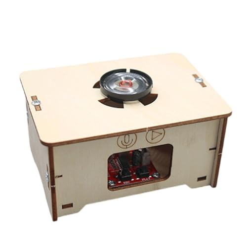 Kinder Recorder Musical Toy Toy Wood Sound Recorder Music Player Sound Recorder Craft Sound Recorder Holzphonograph von JUNNASALIKER