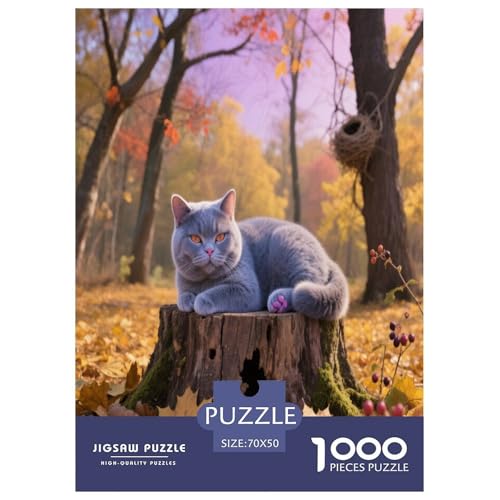 Britische Kurzhaare 1000 Teile Puzzle Premium Quality Geschicklichkeitsspiel Für Die Ganze Familie Süße Haustiere Spielzeug Kinder Ab 14 Jahren 70x50cm/1000pcs von JWEGVOSAY