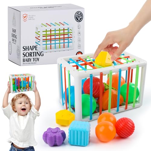 JWTRSVTY Baby Sensorische Lernspielzeug, 12 PCS Bunte Formsortierer Spielzeug, Frühes Lernspielzeug Baby Ab 1 Jahr, Montessori Sensorisches Spielzeug, für Geschenk Kleinkinder Jungen Mädchen Ab 1 Jahr JWTRSVTY Baby Sensorische Lernspielzeug, 12 PCS Bunte Formsortierer Spielzeug, Frühes Lernspielzeug Baby Ab 1 Jahr, Montessori Sensorisches Spielzeug, für Geschenk Kleinkinder Jungen Mädchen Ab 1 Jahr von JWTRSVTY