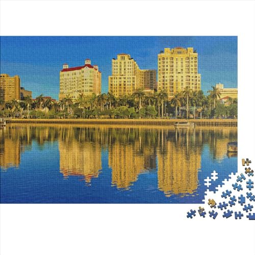 1000-teiliges Puzzle mit Florida-Landschaft für Erwachsene, kreatives rechteckiges Holzpuzzle, Geschenk für Freunde und Familie, 1000 Teile (75 x 50 cm) von JYJLRJ