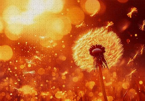 Puzzle 1000 Teile Löwenzahn Puzzle Erwachsene Anspruchsvol Impossible Rätsel Blumen 75x50cm DIY Kit Classic Holz Jigsaw für Erwachsene und Kinder ab 14 Jahren, Auch Geschenke für Frauen Männer C-441 von Jaalinng