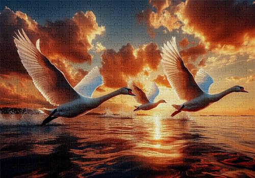 Puzzle 300 Teile Schwan Puzzle Erwachsene Anspruchsvol Impossible Rätsel Strand 40x28cm DIY Classic Holz Jigsaw für Erwachsene und Kinder ab 14 Jahren, Verfügbar Als Geschenke für Frauen Männer C-748 Puzzle 300 Teile Schwan Puzzle Erwachsene Anspruchsvol Impossible Rätsel Strand 40x28cm DIY Classic Holz Jigsaw für Erwachsene und Kinder ab 14 Jahren, Verfügbar Als Geschenke für Frauen Männer C-748 von Jaalinng
