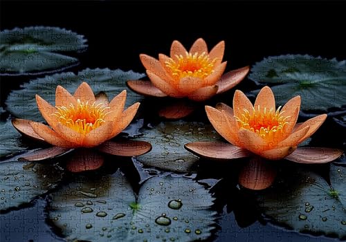 Puzzle 4000 Teile Lotus Puzzle Erwachsene Anspruchsvol Impossible Rätsel Blumen 141x87cm Diy Classic Holz jigsaw für Erwachsene und Kinder ab 14 Jahren, Verfügbar Als Geschenke für Frauen Männer C-644 von Jaalinng