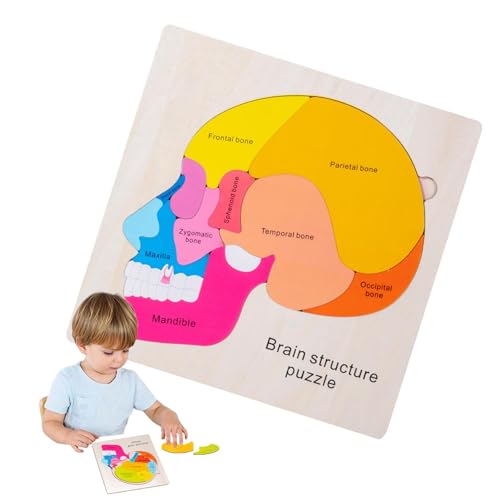Jacekee Anatomie-Spielzeug für Kinder, Anatomie-Struktur-kognitives Puzzle | Mehrschichtiges kognitives Puzzlespielzeug aus Holz für den menschlichen Körper - Pädagogische, interaktive von Jacekee