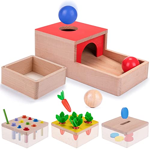 Jacotoys Holz 4-in-1 Spielzeug Box, Montessori Form Sorter Bildungs Karotten Ernte Spiel Sortierung Puzzles Münze und Ball Farbe Tropfen Permanenz Box Für 3 4 5 Jahre alte Mädchen Jungen von Jacootoys