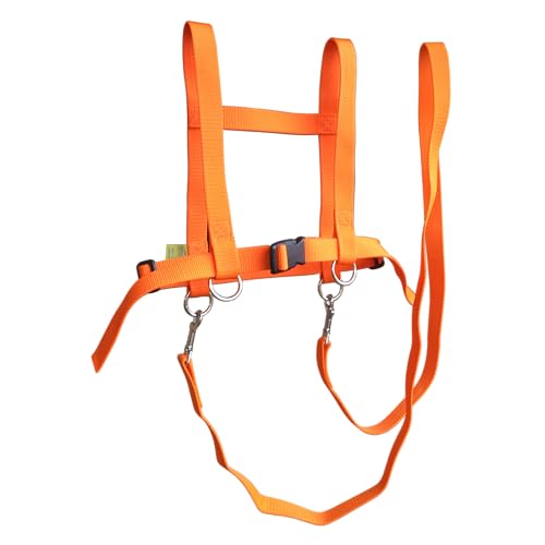 Jamso Design Pferdespielleine Orange Pferdeleine Pferdespiel Pferdegeschirr für 2 Kinder Reiter und Pferd von Jamso Design