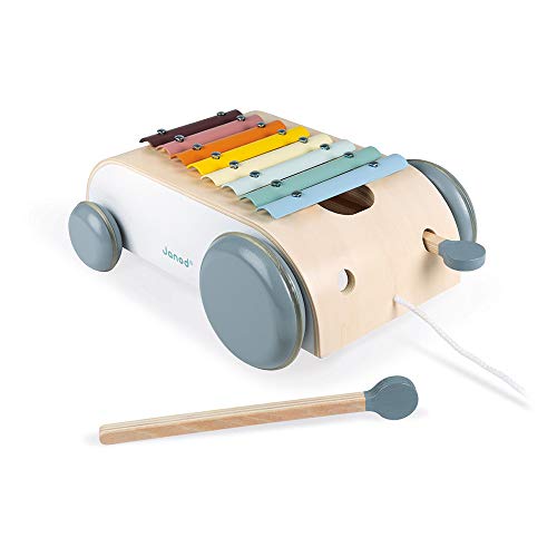 Janod - Xylo Roller aus Holz - Sweet Cocoon Kollektion - Musikalisches Kleinkindspielzeug Farbe auf Wasserbasis - Spielzeug zum Ziehen - Ab 18 Monaten, J04406 von Janod