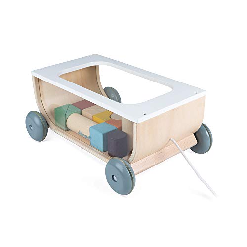 Janod - Bauklötzchen-Wagen aus Holz - Sweet Cocoon Kollektion - Baby- und Kleinkindspielzeug Farbe auf Wasserbasis - Spielzeug zum Ziehen - Laufen lernen - Ab 18 Monaten, J04407 von Janod