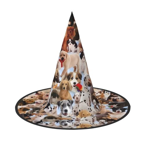 JaoXer Niedlicher Halloween-Hut für Hunde – Erwachsenenkostüm-Zubehör für Party & Maskerade, perfekt für Halloween, Karneval, Cosplay JaoXer Niedlicher Halloween-Hut für Hunde – Erwachsenenkostüm-Zubehör für Party & Maskerade, perfekt für Halloween, Karneval, Cosplay von JaoXer