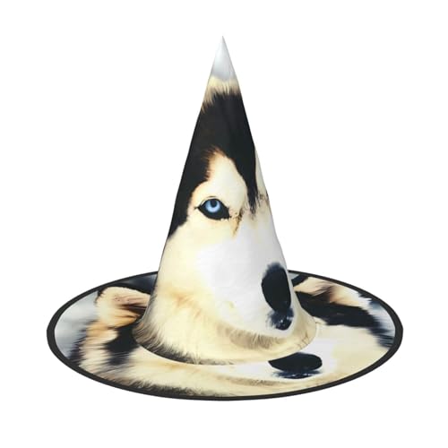 JaoXer Sibirischer Husky Halloween Hut - Erwachsenenkostüm-Zubehör für Party & Maskerade, perfekt für Halloween, Karneval, Cosplay JaoXer Sibirischer Husky Halloween Hut - Erwachsenenkostüm-Zubehör für Party & Maskerade, perfekt für Halloween, Karneval, Cosplay von JaoXer