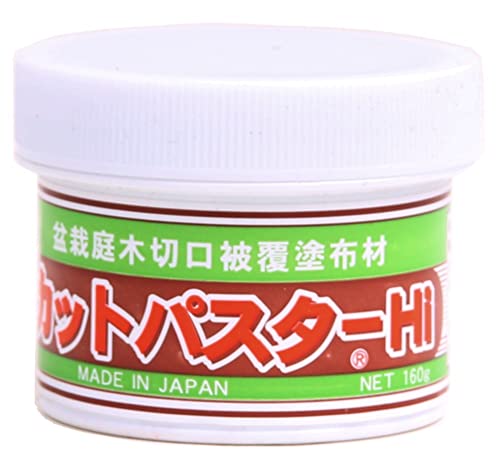 Bonsai - Wundpaste aus Japan für Laubbäume 190 gr. 61054 von Japan