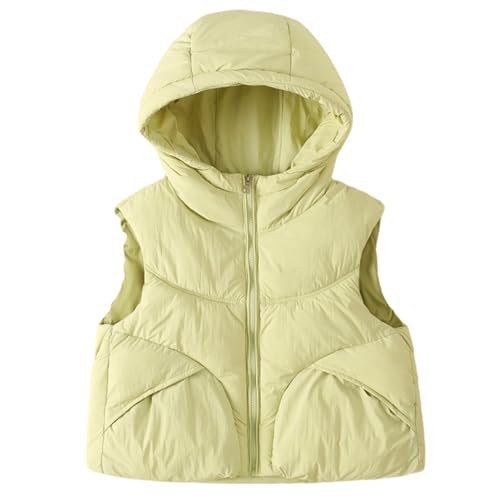 Jaskdconsy Kinder Steppweste mit hohem Stehkragen | Leichte und warme Daunenweste für Jungen und Mädchen | Ärmellose Übergangsjacke für Herbst und Schule Jaskdconsy Kinder Steppweste mit hohem Stehkragen | Leichte und warme Daunenweste für Jungen und Mädchen | Ärmellose Übergangsjacke für Herbst und Schule von Jaskdconsy