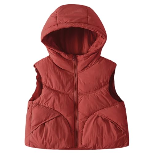Jaskdconsy Kinder Steppweste mit hohem Stehkragen | Leichte und warme Daunenweste für Jungen und Mädchen | Ärmellose Übergangsjacke für Herbst und Schule Jaskdconsy Kinder Steppweste mit hohem Stehkragen | Leichte und warme Daunenweste für Jungen und Mädchen | Ärmellose Übergangsjacke für Herbst und Schule von Jaskdconsy