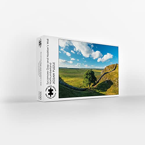 Sycamore Gap and Hadrian's Wall Northumberland 1000 Teile Puzzle von Jason Friend Photography Ltd