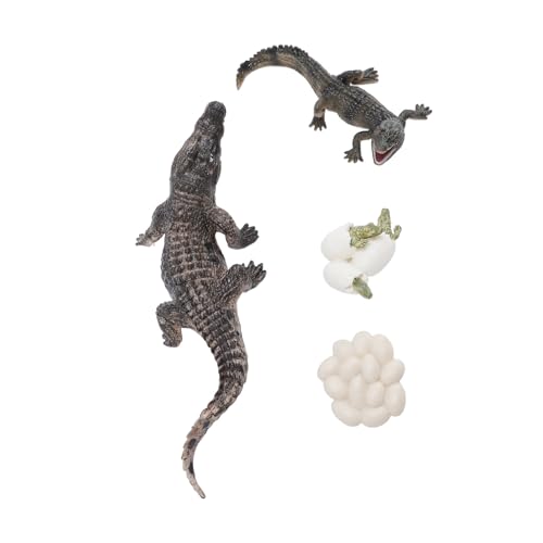 Tierwachstum Lebenszyklus Modell Set, Frühe Bildung PVC Kognition Reptilien Tierfiguren für mit Geburtstag, Ideal für die Kindergärtnerbildung von Jauarta