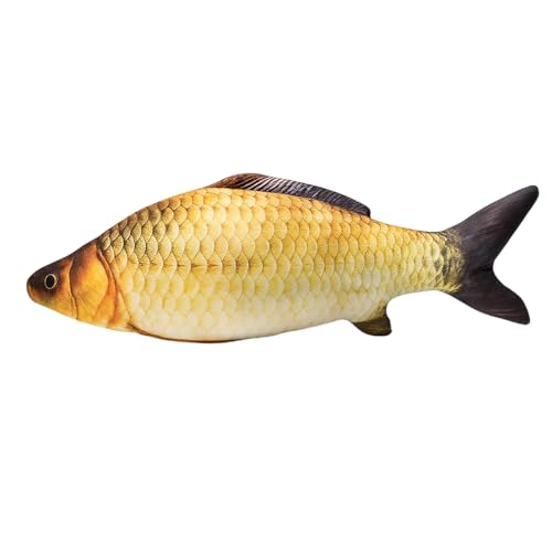 JazRvr 1 Stück Fisch Kuscheltier, Realistischer Singender Fisch, Weiches Plüschtier Für Kinder, Dekorative Fisch Deko Für Sofa, Bett Und Auto JazRvr 1 Stück Fisch Kuscheltier, Realistischer Singender Fisch, Weiches Plüschtier Für Kinder, Dekorative Fisch Deko Für Sofa, Bett Und Auto von JazRvr