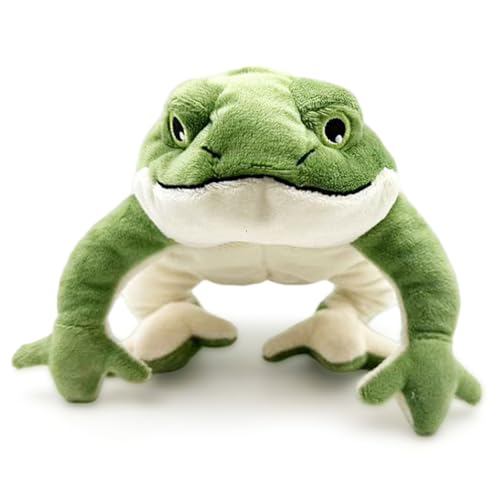 Jcasbdn Frosch gefülltes Tier 6x11 niedlich realistischer Froschplüsch mit Soft Weich Bequeme Plüschspielzeug für Kinder von Jcasbdn