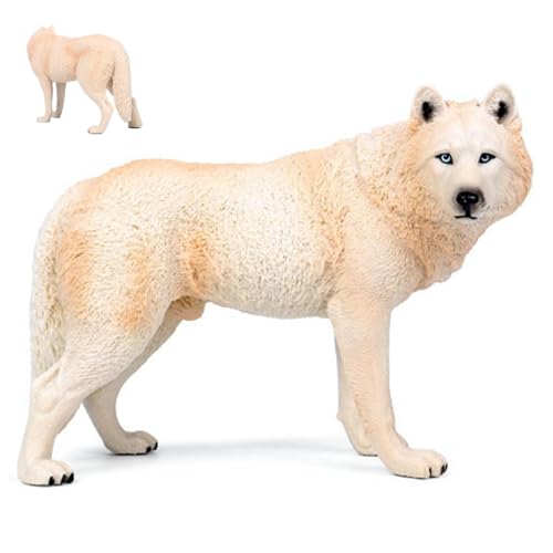 Jcasbdn Wolf Figur High Simulation Wildlife Tiermodell Wolf Spielzeug Sammlung Figur Ornament Lernspielzeug Geburtstagsgeschenk Beige Jcasbdn Wolf Figur High Simulation Wildlife Tiermodell Wolf Spielzeug Sammlung Figur Ornament Lernspielzeug Geburtstagsgeschenk Beige von Jcasbdn