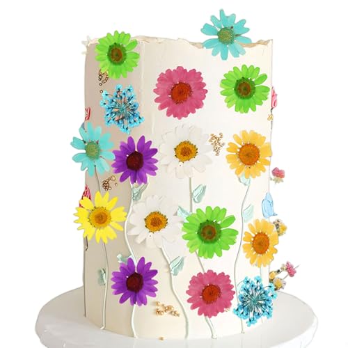 JeVenis Regenbogen-Wildblumen-Kuchenaufsätze, Wildblumen-Dekoration, Baby in Blüte, für Babyparty, Geburtstag, Brautparty, Hochzeit, Party-Dekoration JeVenis Regenbogen-Wildblumen-Kuchenaufsätze, Wildblumen-Dekoration, Baby in Blüte, für Babyparty, Geburtstag, Brautparty, Hochzeit, Party-Dekoration von JeVenis