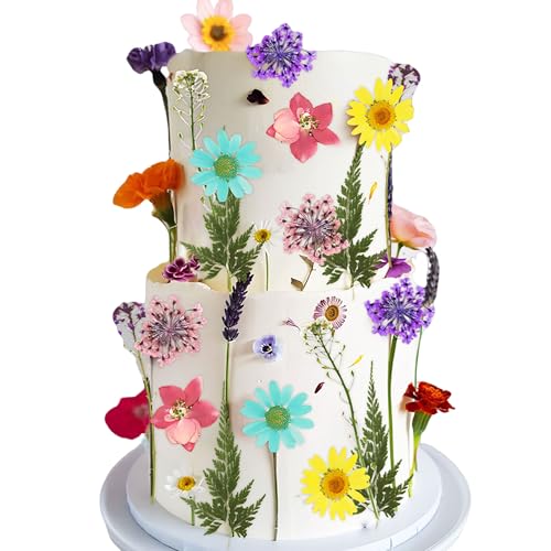 JeVenis Rosa Wildblumen-Kuchenaufsätze, Wildblumen-Dekoration, Baby in Blüte, für Babyparty, Geburtstag, Brautparty, Hochzeit, Party-Dekoration JeVenis Rosa Wildblumen-Kuchenaufsätze, Wildblumen-Dekoration, Baby in Blüte, für Babyparty, Geburtstag, Brautparty, Hochzeit, Party-Dekoration von JeVenis