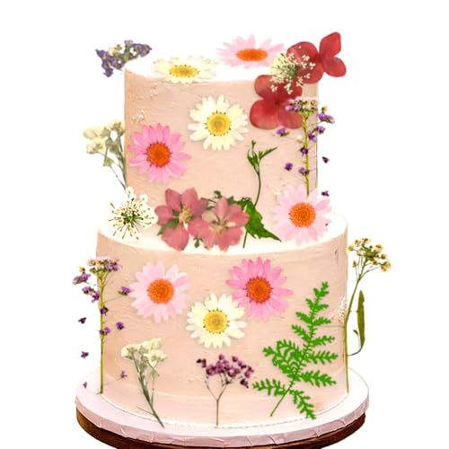 JeVenis Rosa Wildblumen-Kuchenaufsätze, Wildblumen-Dekoration, Baby in Blüte, für Babyparty, Geburtstag, Brautparty, Hochzeit, Party-Dekoration JeVenis Rosa Wildblumen-Kuchenaufsätze, Wildblumen-Dekoration, Baby in Blüte, für Babyparty, Geburtstag, Brautparty, Hochzeit, Party-Dekoration von JeVenis