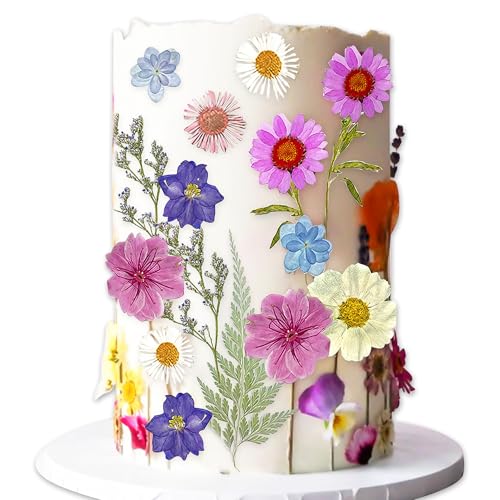 JeVenis Wildblumen-Kuchenaufsätze, Wildblumen-Dekoration, Baby in Blüte, Babyparty, Kuchendekoration für Frauen, Geburtstag, Brautparty, Hochzeit, Party-Dekoration JeVenis Wildblumen-Kuchenaufsätze, Wildblumen-Dekoration, Baby in Blüte, Babyparty, Kuchendekoration für Frauen, Geburtstag, Brautparty, Hochzeit, Party-Dekoration von JeVenis