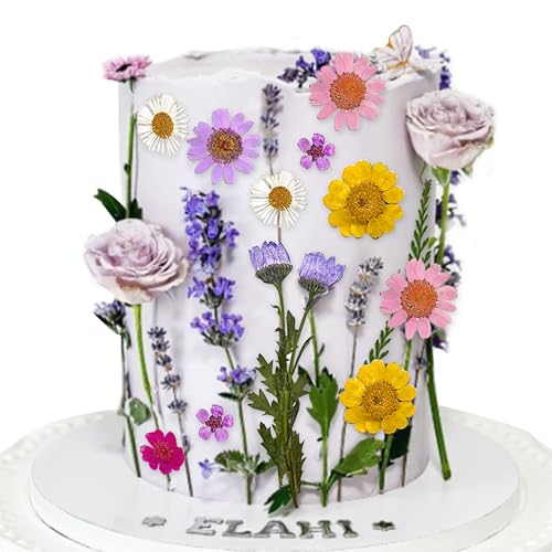 JeVenis Wildblumen-Kuchenaufsätze, Wildblumen-Dekoration, Baby in Blüte, Babyparty, Kuchendekoration für Frauen, Geburtstag, Brautparty, Hochzeit, Party-Dekoration JeVenis Wildblumen-Kuchenaufsätze, Wildblumen-Dekoration, Baby in Blüte, Babyparty, Kuchendekoration für Frauen, Geburtstag, Brautparty, Hochzeit, Party-Dekoration von JeVenis