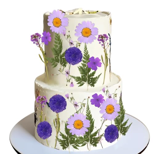 JeVenis Wildblumen-Kuchenaufsätze, Wildblumen-Dekoration, Baby in Blüte, für Babyparty, Geburtstag, Brautparty, Hochzeit, Party-Dekoration JeVenis Wildblumen-Kuchenaufsätze, Wildblumen-Dekoration, Baby in Blüte, für Babyparty, Geburtstag, Brautparty, Hochzeit, Party-Dekoration von JeVenis