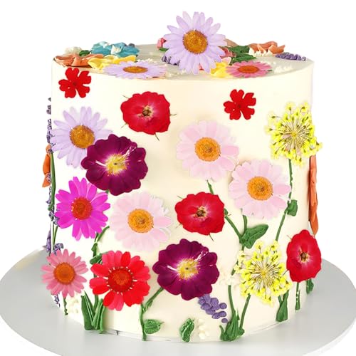 JeVenis Wildblumen-Kuchenaufsätze, Wildblumen-Dekoration, Baby in Blüte, für Babyparty, Geburtstag, Brautparty, Hochzeit, Party-Dekoration JeVenis Wildblumen-Kuchenaufsätze, Wildblumen-Dekoration, Baby in Blüte, für Babyparty, Geburtstag, Brautparty, Hochzeit, Party-Dekoration von JeVenis
