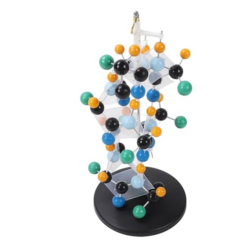 Protein-Molekülmodell, 3D-Modellierung, Bunte Kugeln und Einfach zu Erlernen mit Anwendungsszenario für den Biochemieunterricht von Jectse