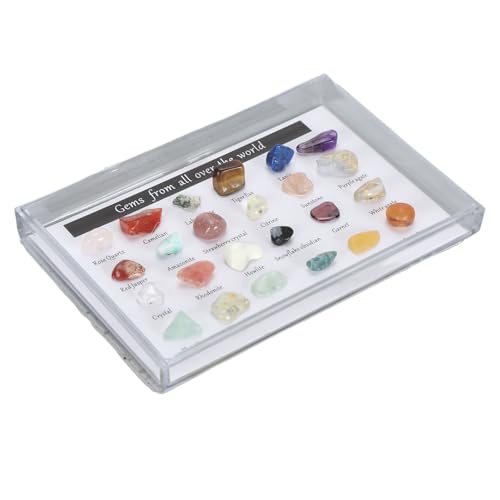 Jeffergarden Rocks and Minerals Collection Kit Schöne Edelstein Stones Science Educational Kit mit Klarem Display -Gehäuse für (B) von Jeffergarden