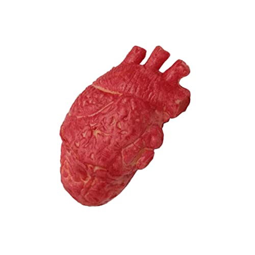 Jeorywoet Simulierte Herz -Stütze Halloween blutige Stütze Simulierte Körperteile beängstigende Organ für Spukhausdekorationen Halloween Requisite, künstliche Herz -Stütze von Jeorywoet