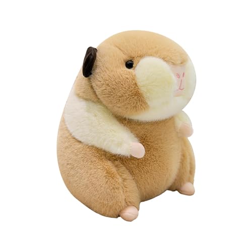 Jeruytgh Hamster Plush Pillow | Hamster Stuffed Animals | Hamster Plush Toy | Cute Hamster Plush Toy | Soft Hamster Plushie | Plush Pillow Room Decoration for Birthday Christmas Kids Adults Jeruytgh Hamster Plush Pillow | Hamster Stuffed Animals | Hamster Plush Toy | Cute Hamster Plush Toy | Soft Hamster Plushie | Plush Pillow Room Decoration for Birthday Christmas Kids Adults von Jeruytgh