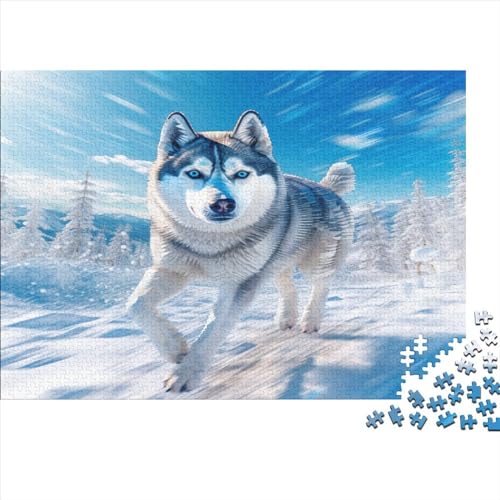 Schnee-Husky Puzzle 1000 Teile Schwer Puzzle Spielzeug Pädagogisches Spiel Impossible Herausforderungsspielzeug Für Erwachsene Und Kinder Ab 12 Jahren 1000pcs (75x50cm) von JiaTexJourney