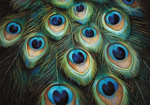 Puzzle 100 Teile Feder Puzzle ab 2 3 4 5 6 Jahre Kinder DIY Klassische Jigsaw Erwachsene Pfau Geschicklichkeitsspiel für Die Ganze Familie, Wooden Lernspiel kinderPuzzle, Wohnkultur Geschenke U-91 Puzzle 100 Teile Feder Puzzle ab 2 3 4 5 6 Jahre Kinder DIY Klassische Jigsaw Erwachsene Pfau Geschicklichkeitsspiel für Die Ganze Familie, Wooden Lernspiel kinderPuzzle, Wohnkultur Geschenke U-91 von Jiacgrtef