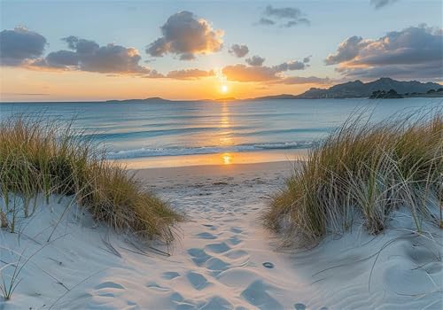 Puzzle 1000 Teile Strand Puzzle Landschaft Klassische Impossible Jigsaw, Anspruchsvoll HolzPuzzle Erwachsene, Puzzlespiele für Die Ganze Familie Jigsaw Für Erwachsene und Kinder Ab 14 Jahren U-404 von Jiacgrtef