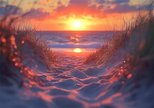Puzzle 1000 Teile Strand Puzzle Sonnenuntergang Klassische Impossible Jigsaw Anspruchsvoll HolzPuzzle Erwachsene, Puzzlespiele für Die Ganze Familie Jigsaw Für Erwachsene Kinder Ab 14 Jahren U-507 Puzzle 1000 Teile Strand Puzzle Sonnenuntergang Klassische Impossible Jigsaw Anspruchsvoll HolzPuzzle Erwachsene, Puzzlespiele für Die Ganze Familie Jigsaw Für Erwachsene Kinder Ab 14 Jahren U-507 von Jiacgrtef