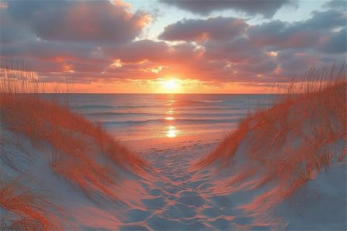Puzzle 2000 Teile Strand Puzzle Sonnenuntergang Klassische Jigsaw Erwachsene Anspruchsvoll, Holzpuzzle Erwachsene Groß Impossible Jigsaw Bastelset ab 14 Jahre für Jungen Wohnkultur Geschenke A-6 von Jiacgrtef
